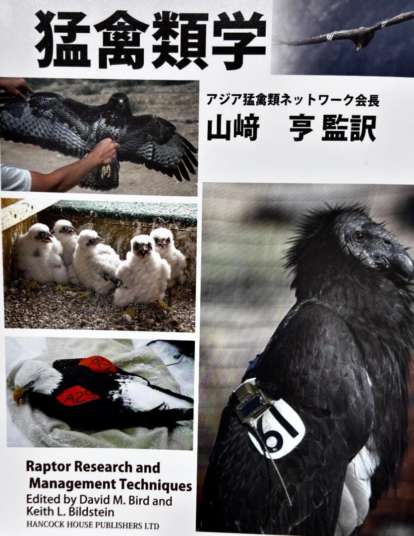 猛禽類学 - Raptor Research Techniques
