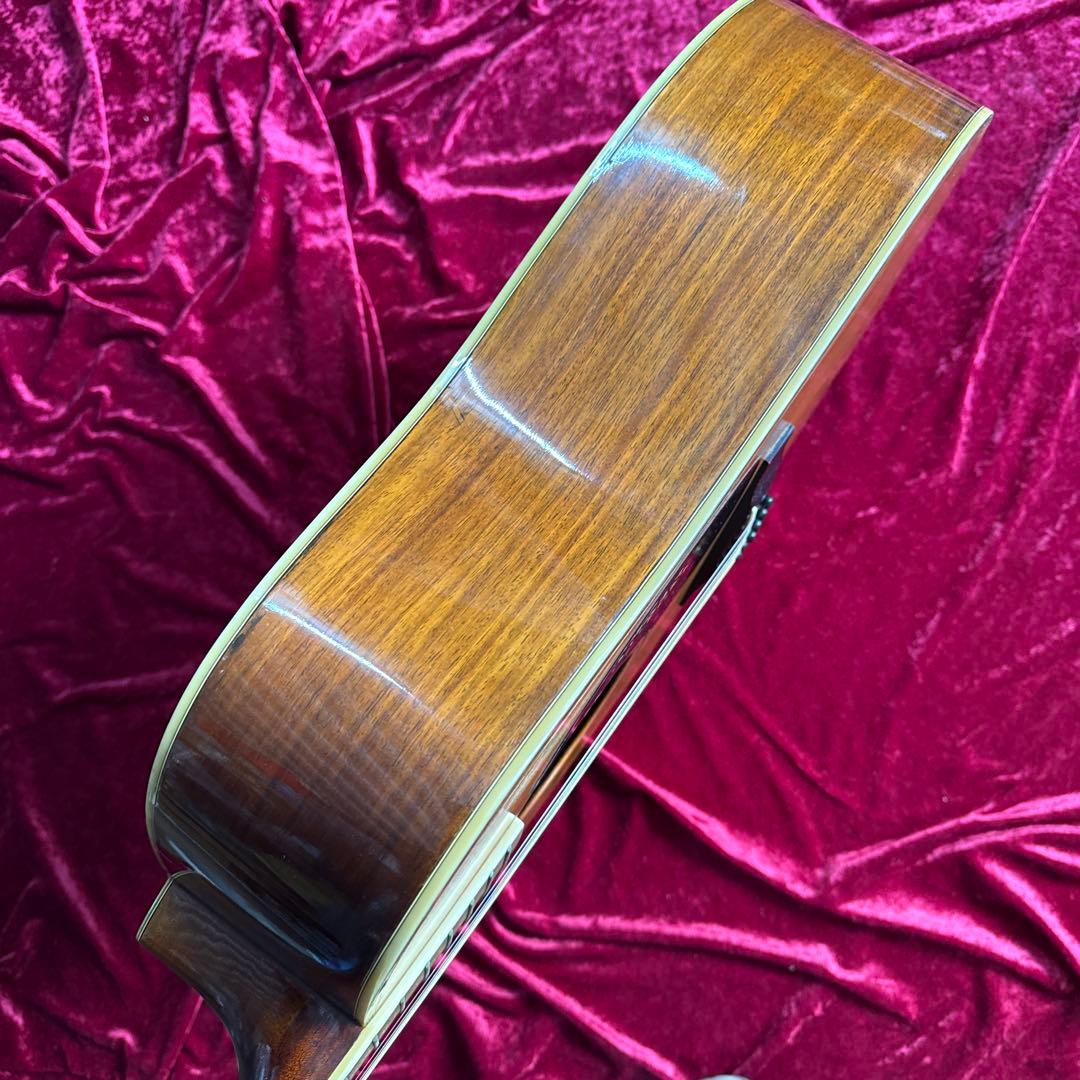 激鳴 TF MORRIS SPECIAL W-50 単板アコースティックギター