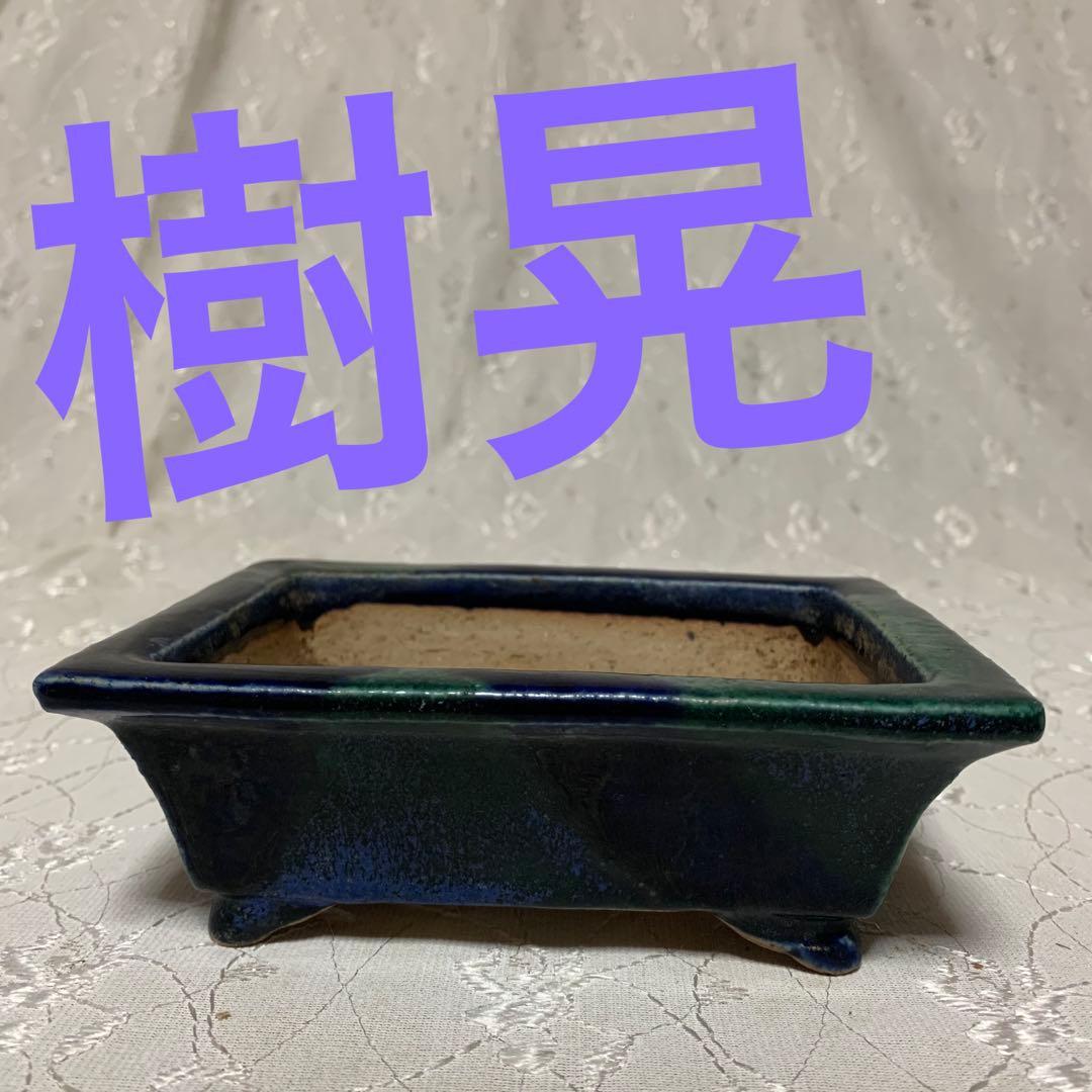 樹晃　長方　盆栽鉢