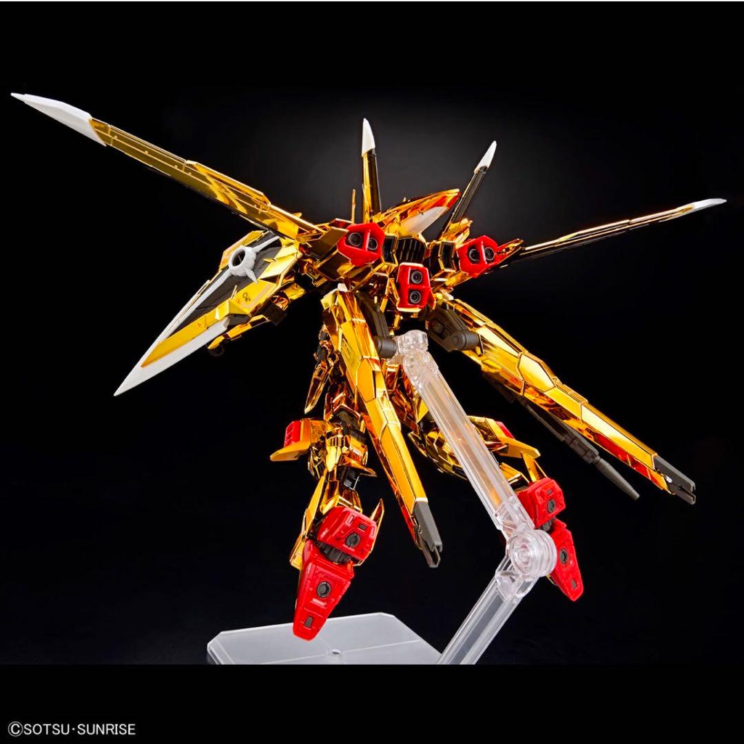 【新品未開封】RG AKATSUKI GUNDAM OOWASHI unit