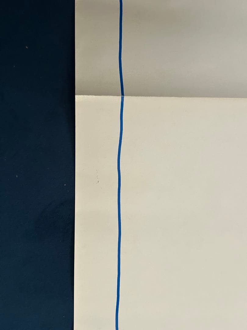 またまたおかしな大追跡　USオリジナル映画ポスター