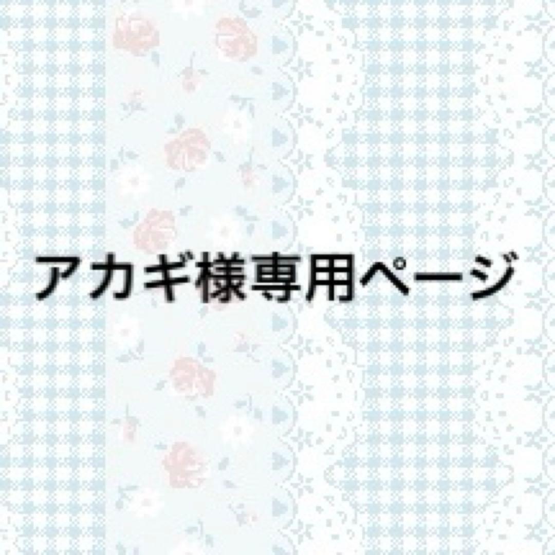 アカギページ