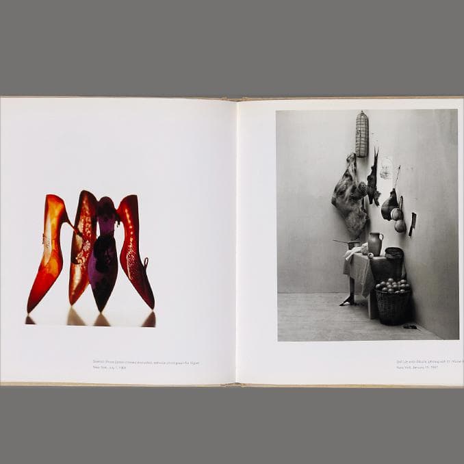 芸術写真 Still Life | Irving Penn