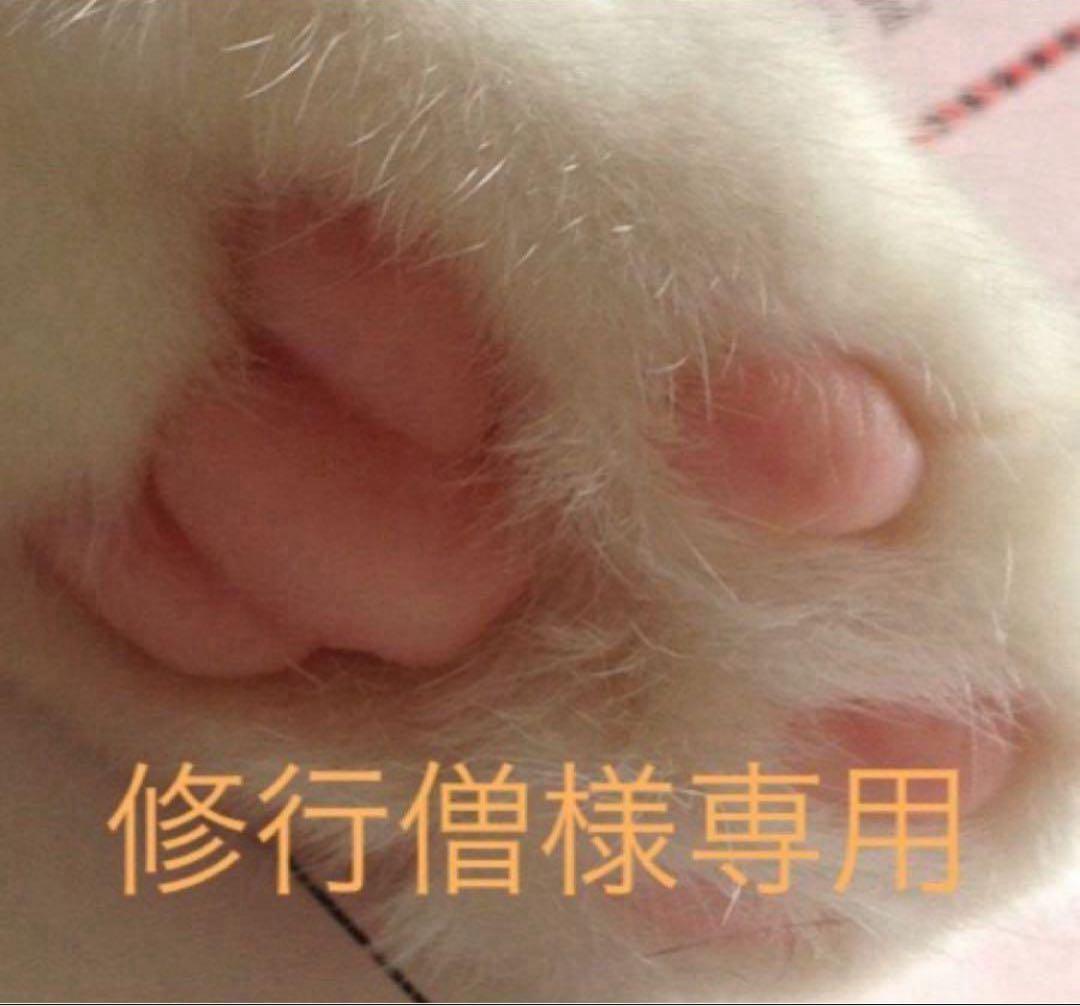 修行僧