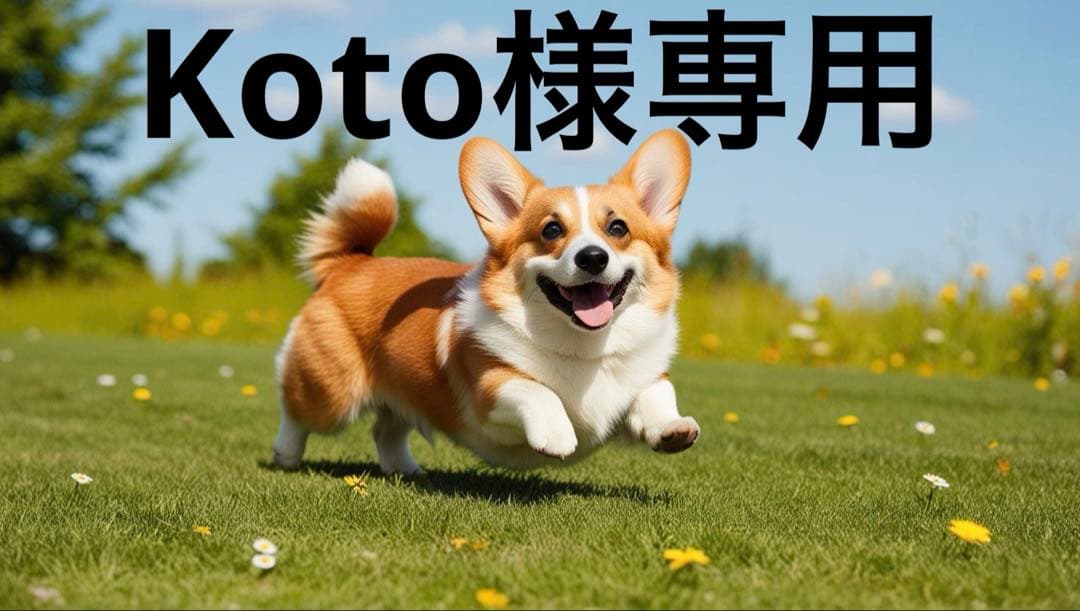 ぬいぐるみ Koto