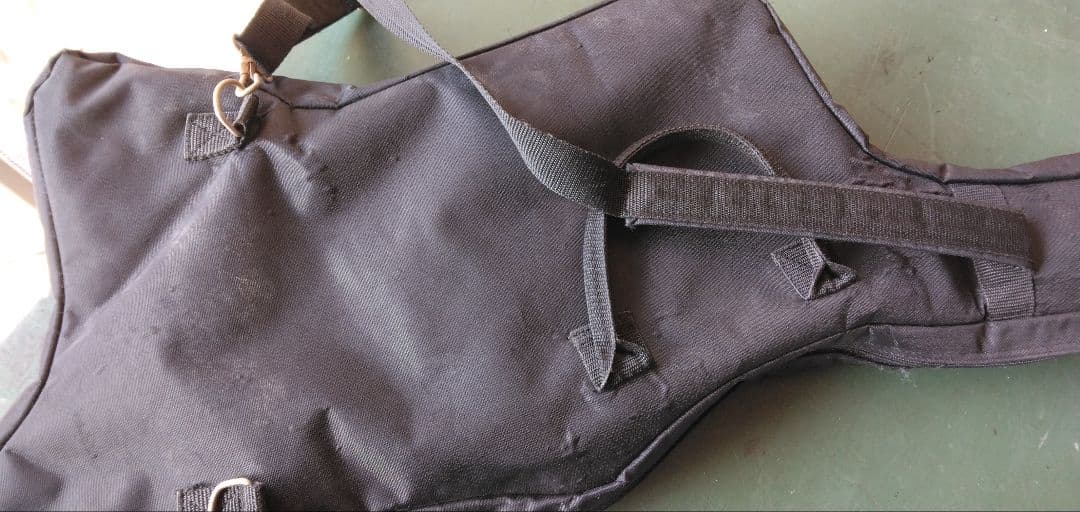 ギター edwards anchang star