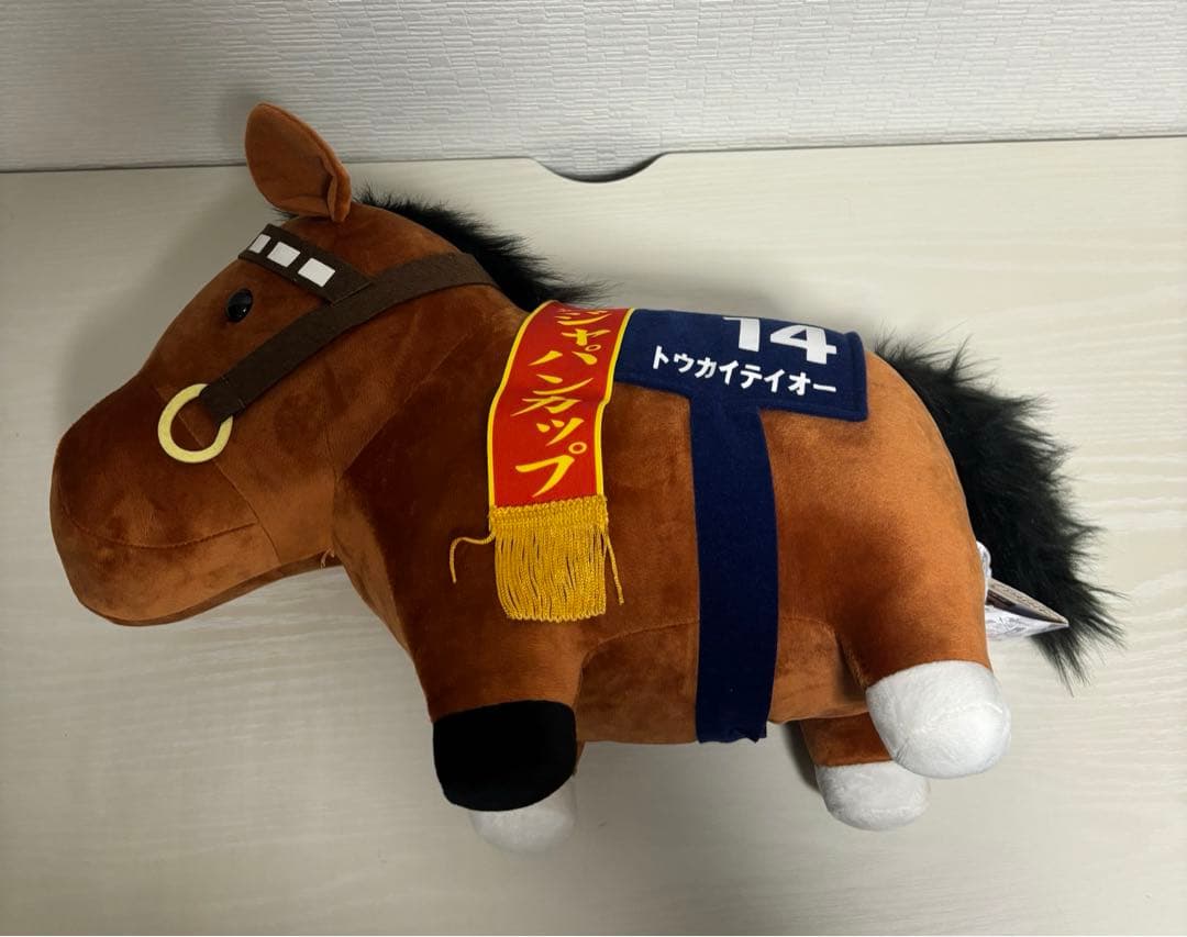 【サージカル新子】サラコレおまとめ8点