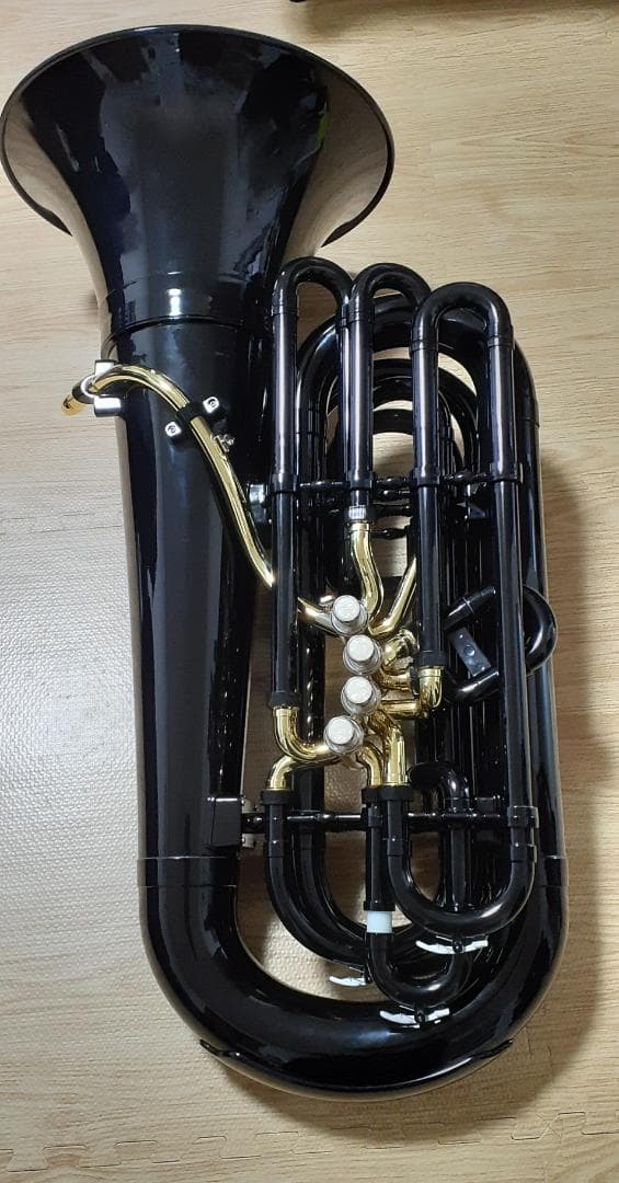 PLAYTECH PTHT-100BK ハイブリッドチューバ ブラック