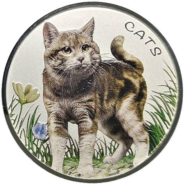 2022年 フィジー 猫シリーズ カラー版 庭で遊ぶ猫 1オンス銀貨 純銀
