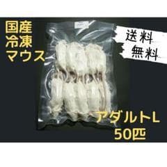 国産 冷凍マウスアダルト L 50匹 (一部地域発送不可)