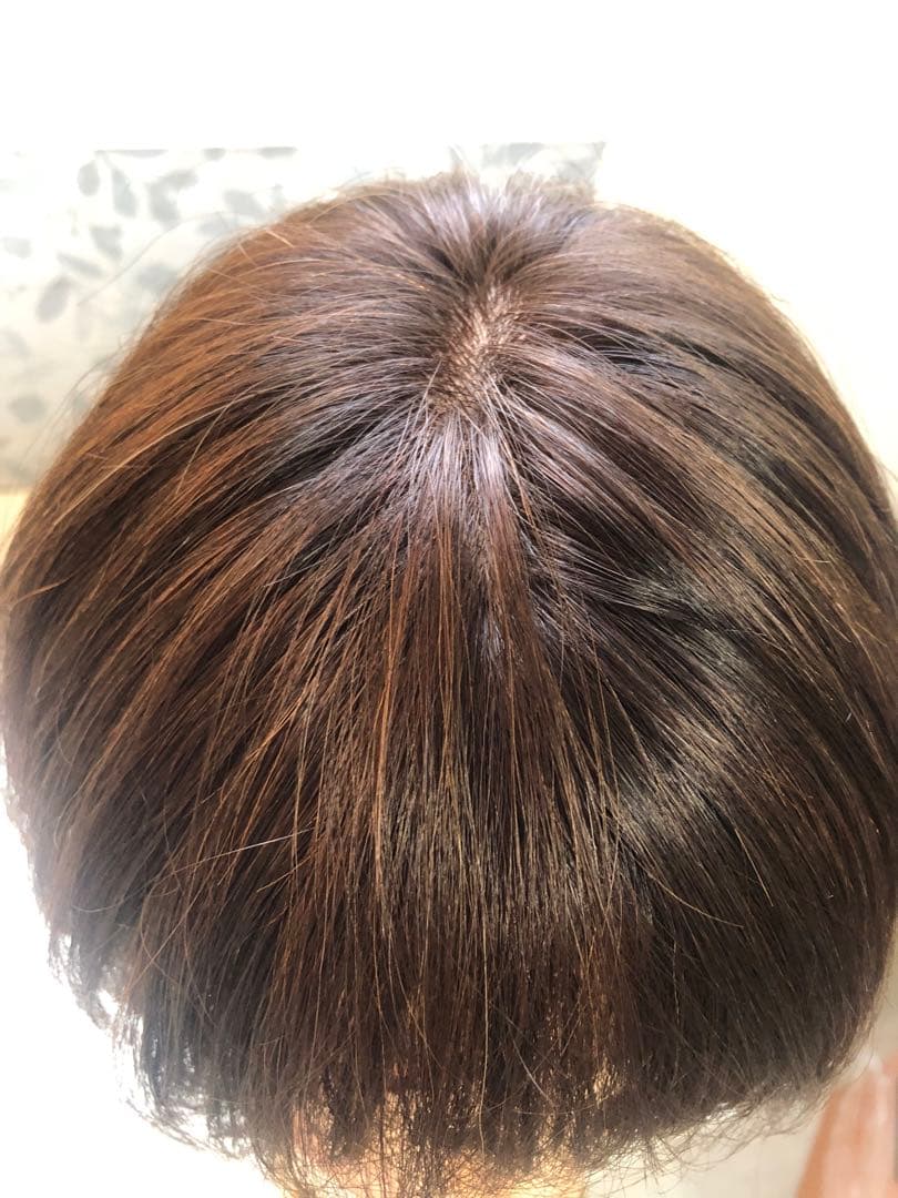 人気の　人毛ショートウィッグ ブラウン系　未使用