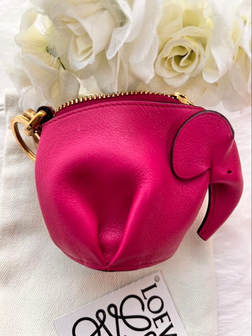 LOEWE / ロエベ