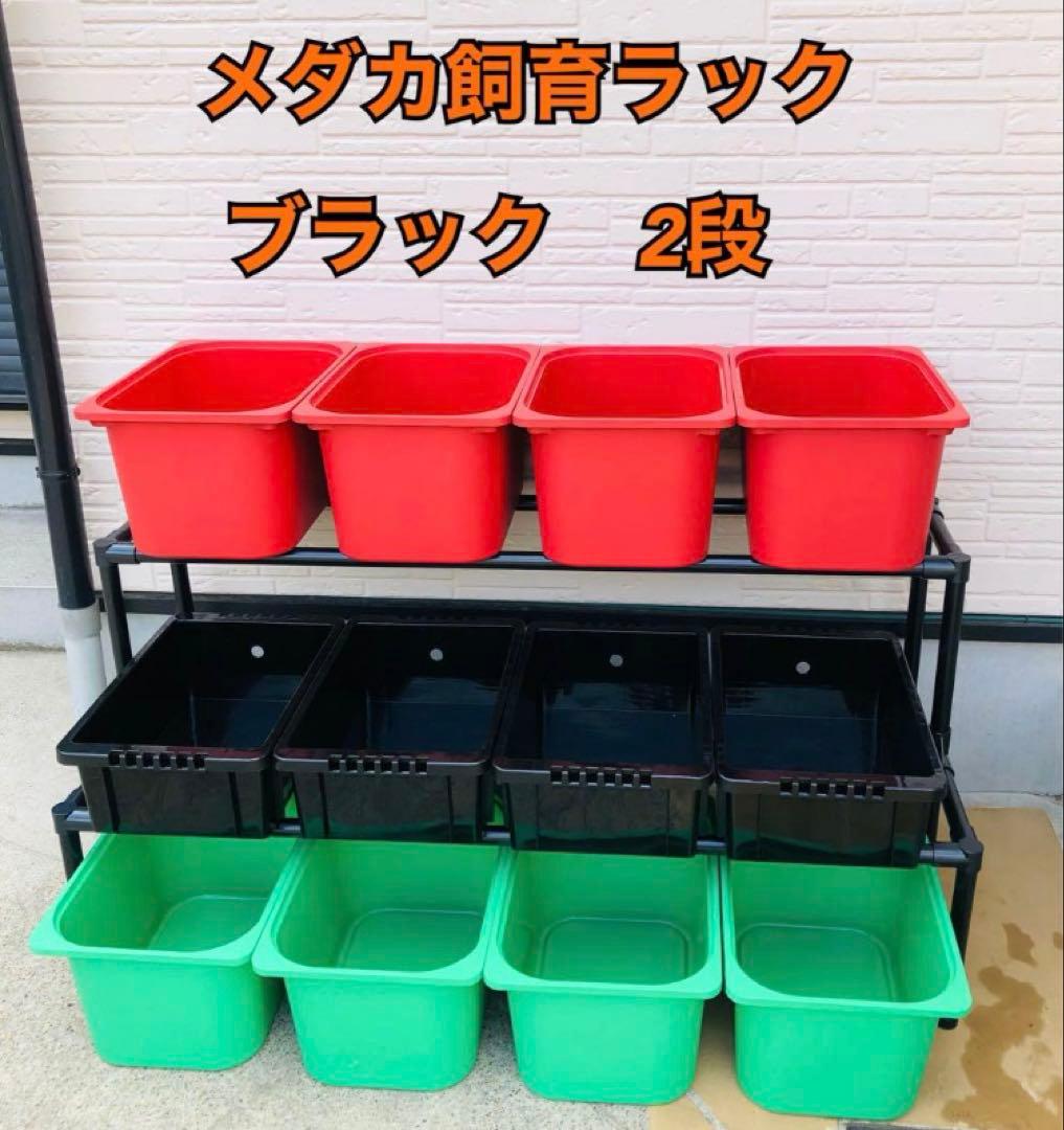 メダカ飼育ラック ブラック【接着剤付】 NVBOX13を12個置けます