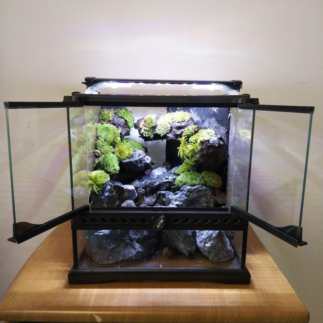 ケロページ