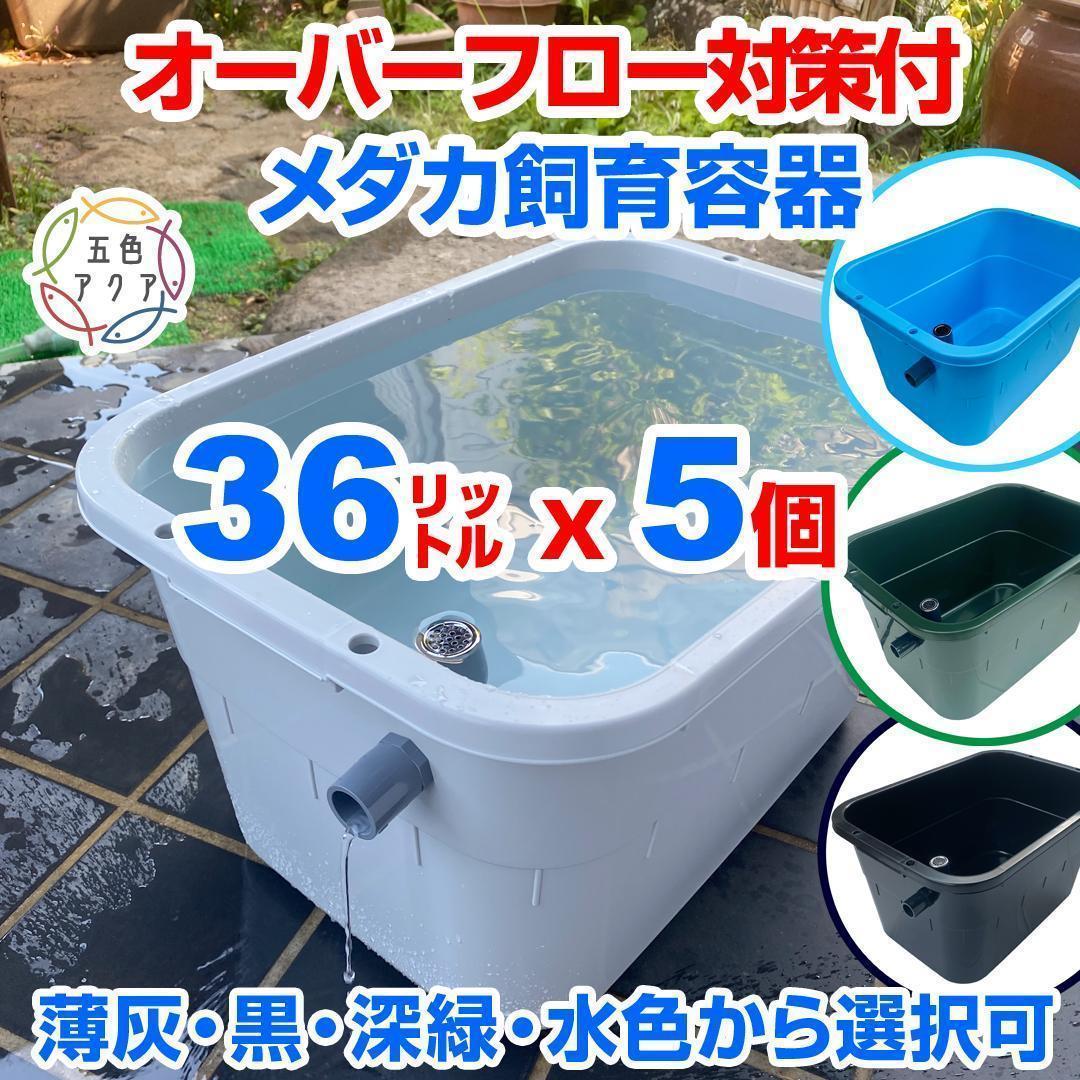 メダカ飼育ケース 36㍑x5個（4色あり） オーバーフロー対策済 金魚飼育容器