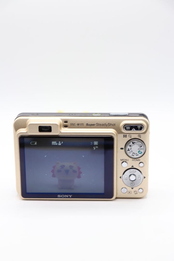 ✨動作確認済み！✨SONY Cyber-shot DSC-W170 充電器付き！