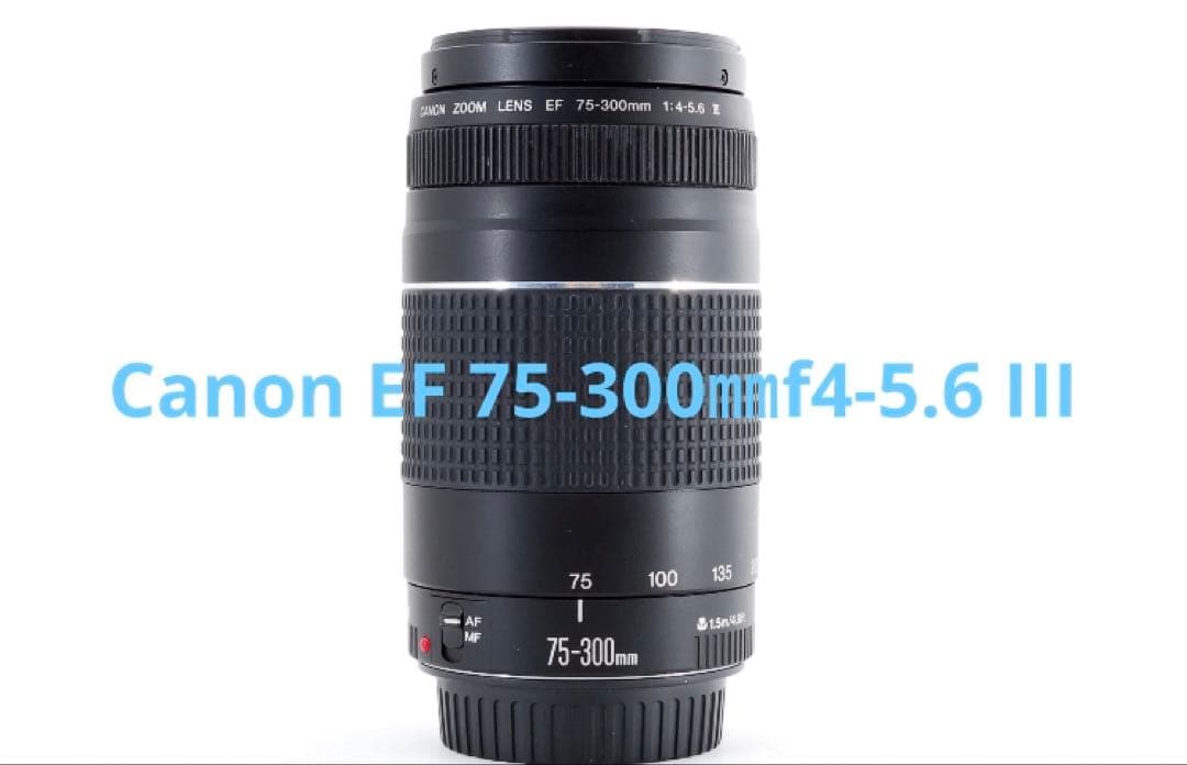 デジタル一眼レフカメラ☆望遠レンズ☆Canon EF 75-300mm III