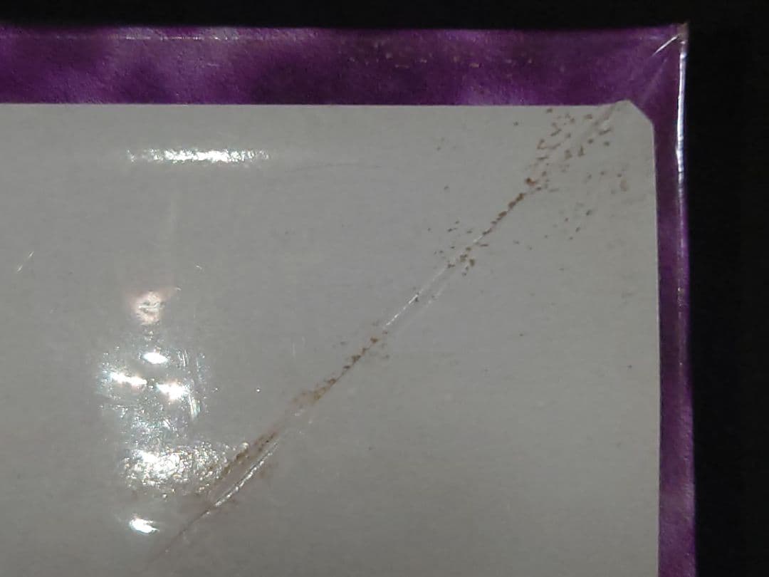 悪夢の迷宮 未開封