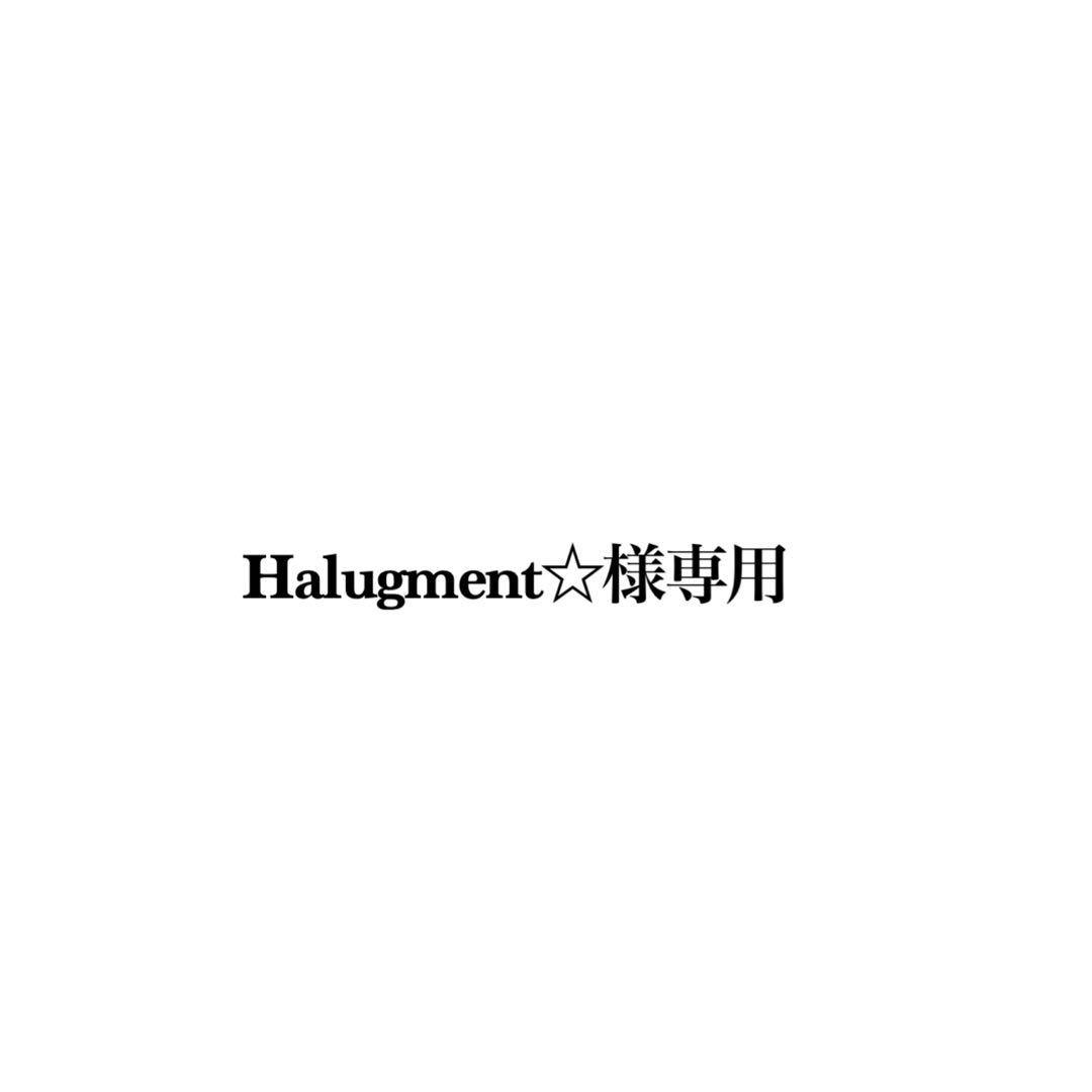 Halugment☆