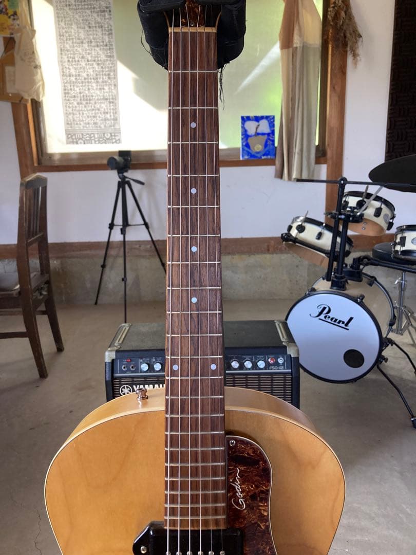 Godin 5th Avenue セミアコースティックギター