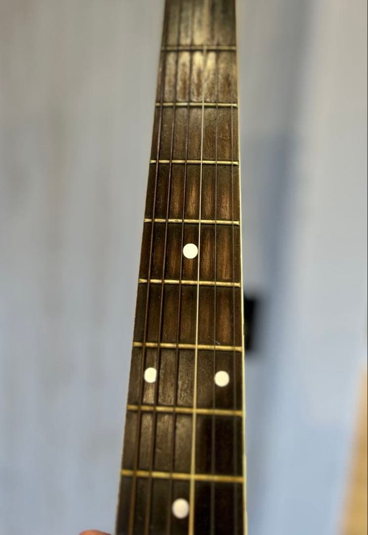 【MORRIS】 W-20
