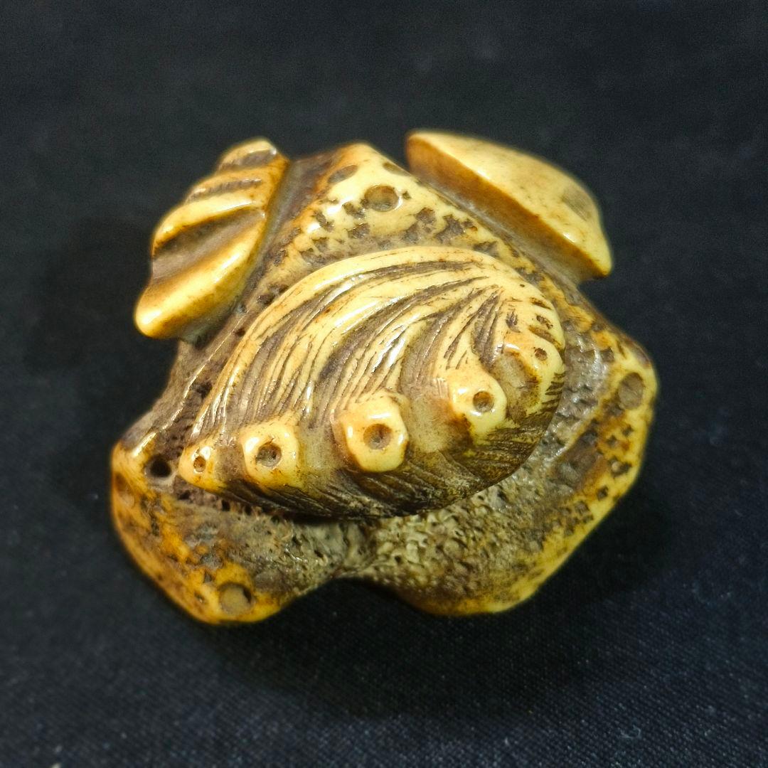 根付 貝尽くし 鹿角彫り 江戸骨董 古美術品 旧家蔵出美品 蒐集家放出 時代物
