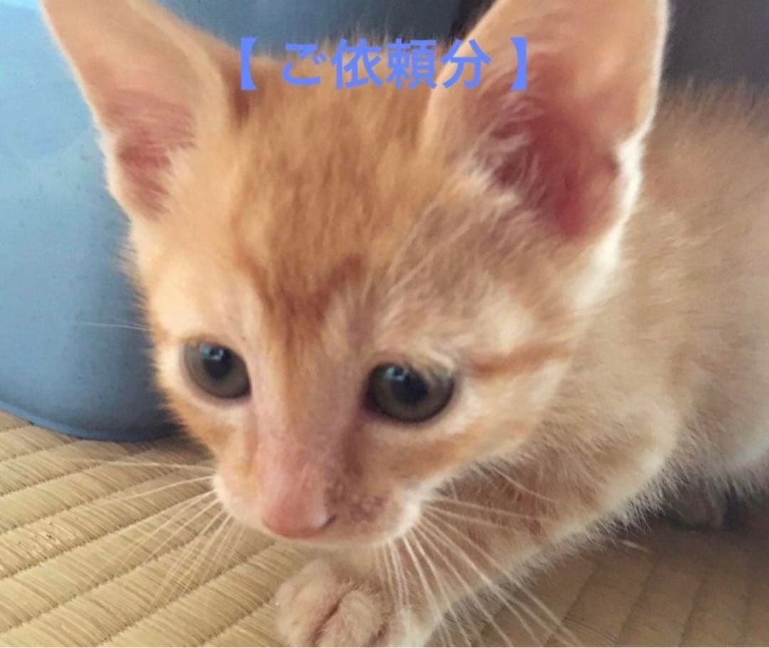 【 ツナ 様 】十字架 パーツ・他