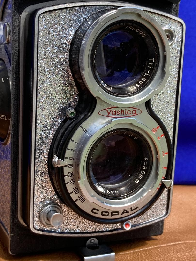 キラキラ感　新しい始まり　YASHICA FLEX　 for Interior