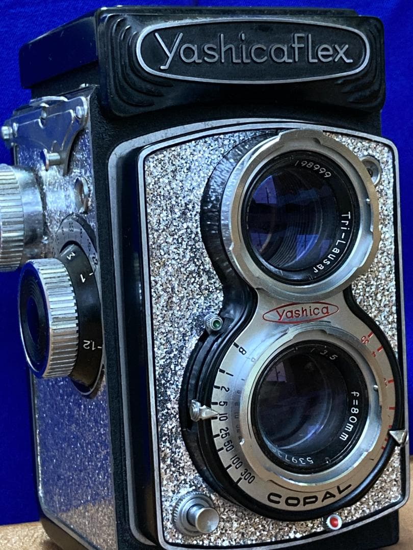 キラキラ感　新しい始まり　YASHICA FLEX　 for Interior