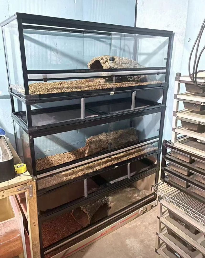 自社製組み立て式爬虫類両生類ケージガラス飼育ケージ60x30x30cm引取り可