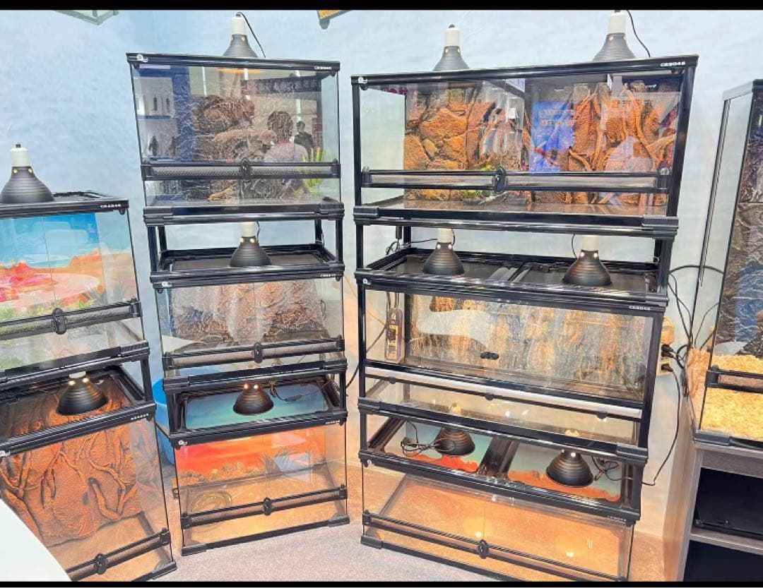 自社製組み立て式爬虫類両生類ケージガラス飼育ケージ60x30x30cm引取り可