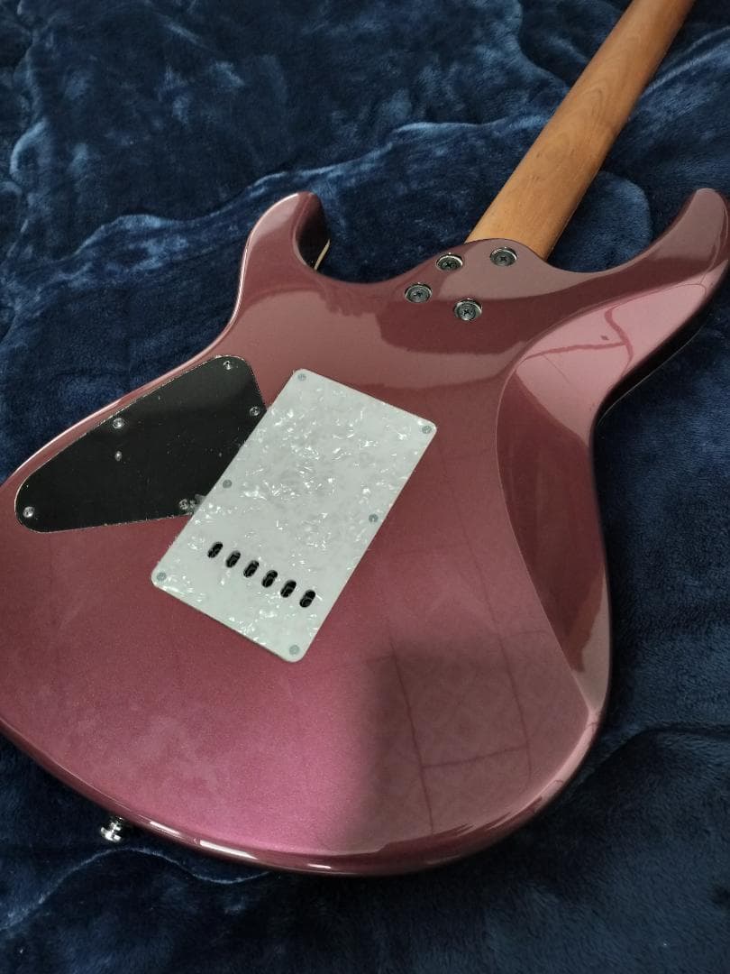 【イト】Cort G300 Pro