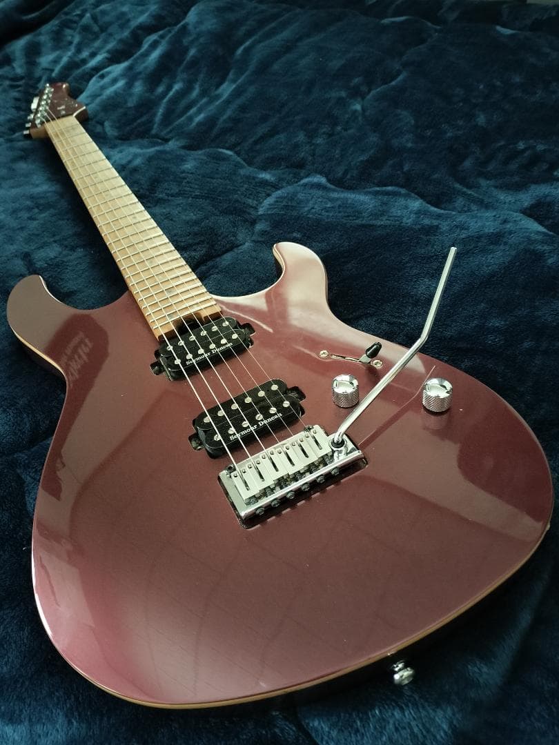 【イト】Cort G300 Pro