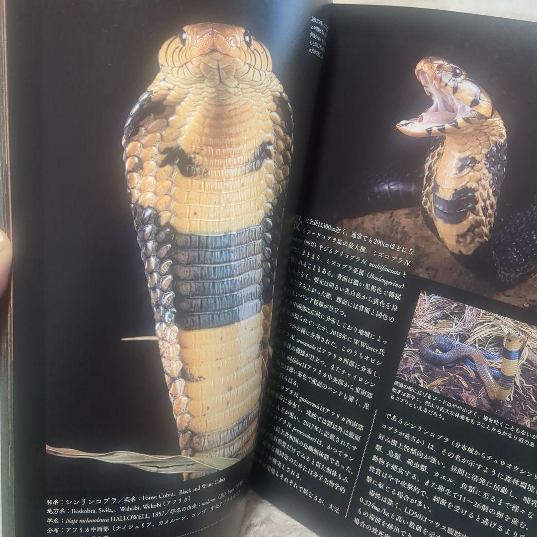 毒ヘビ全書