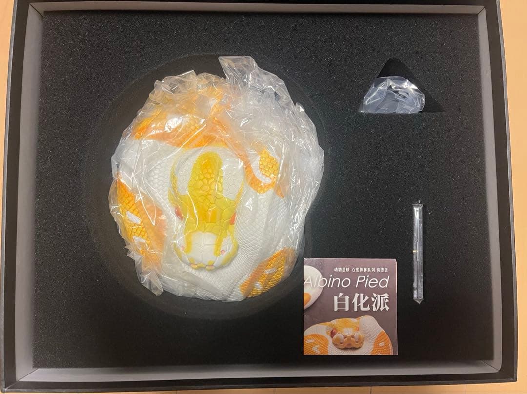 動物の惑星 plus 中国288体限定 ボールパイソン　アルビノ　パンプキン