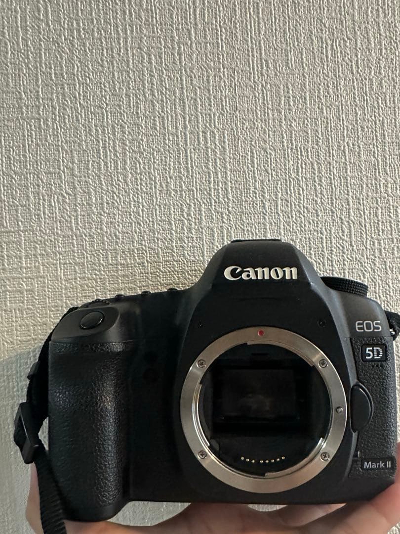 Canon EOS 5D Mark II レンズ2本 バッテリー3個充電器セット