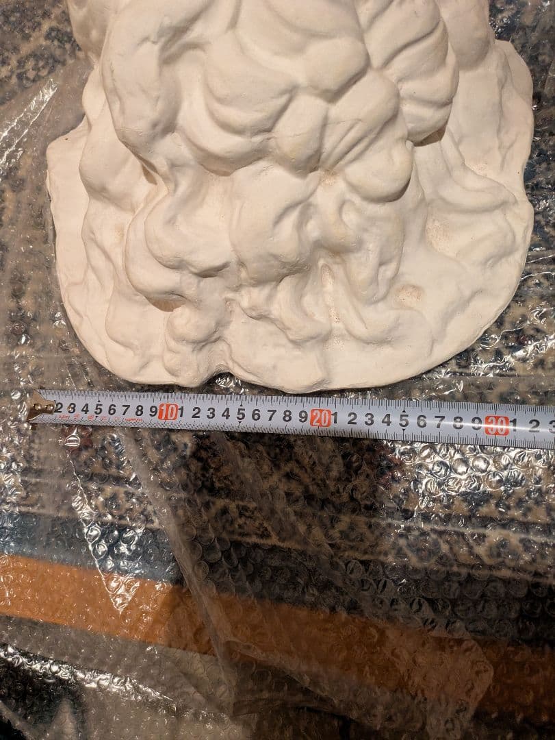 石膏像　モーゼ大顔面