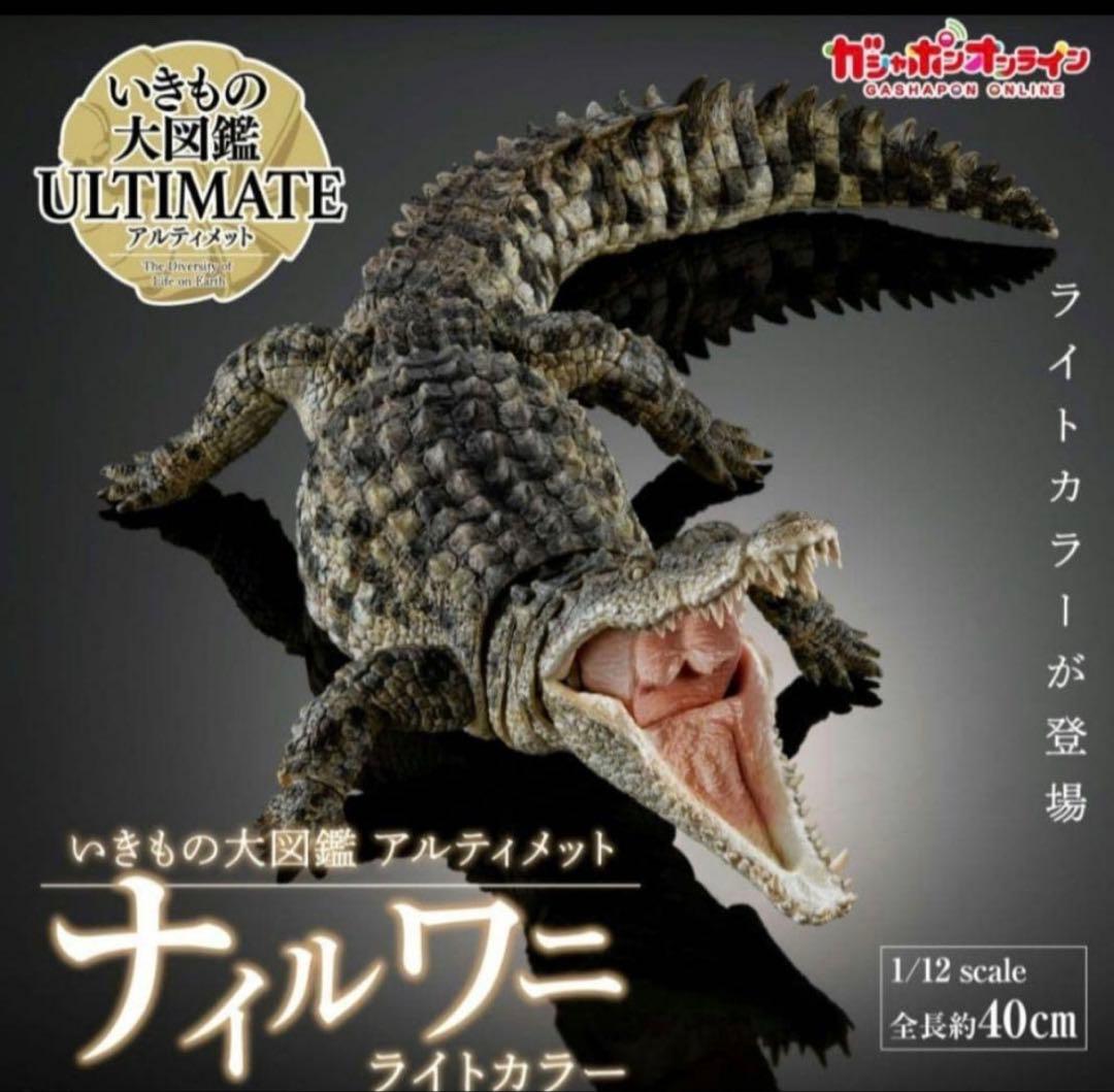 その他 BANDAI Crocodylus niloticus (Light color