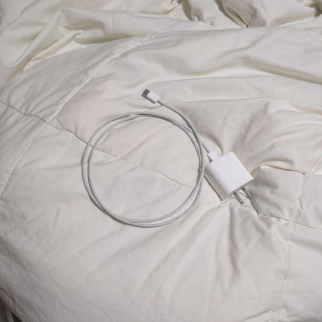 Apple iPad 256GB 本体