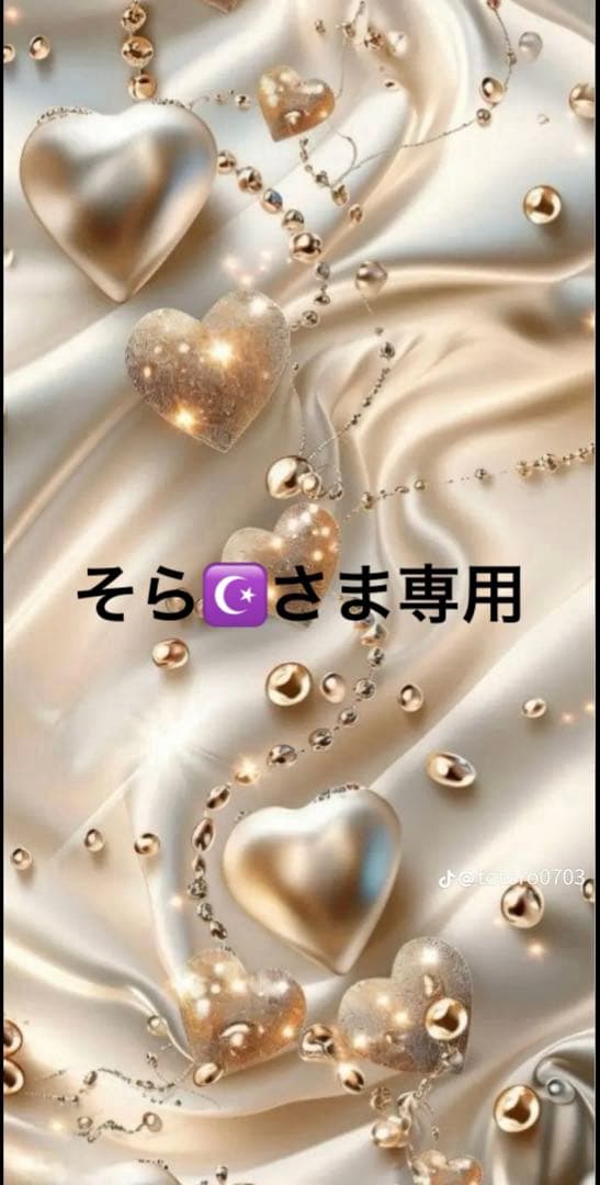 専用( ´͈ ᗨ `͈ )◞♡⃛