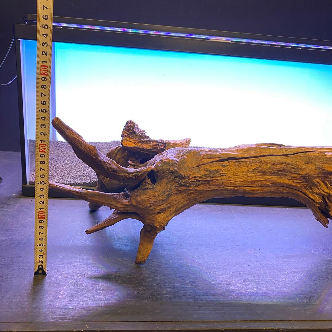 MRW-6567 特大自立赤系流木　1点物　自立流木　一点物90cm水槽用