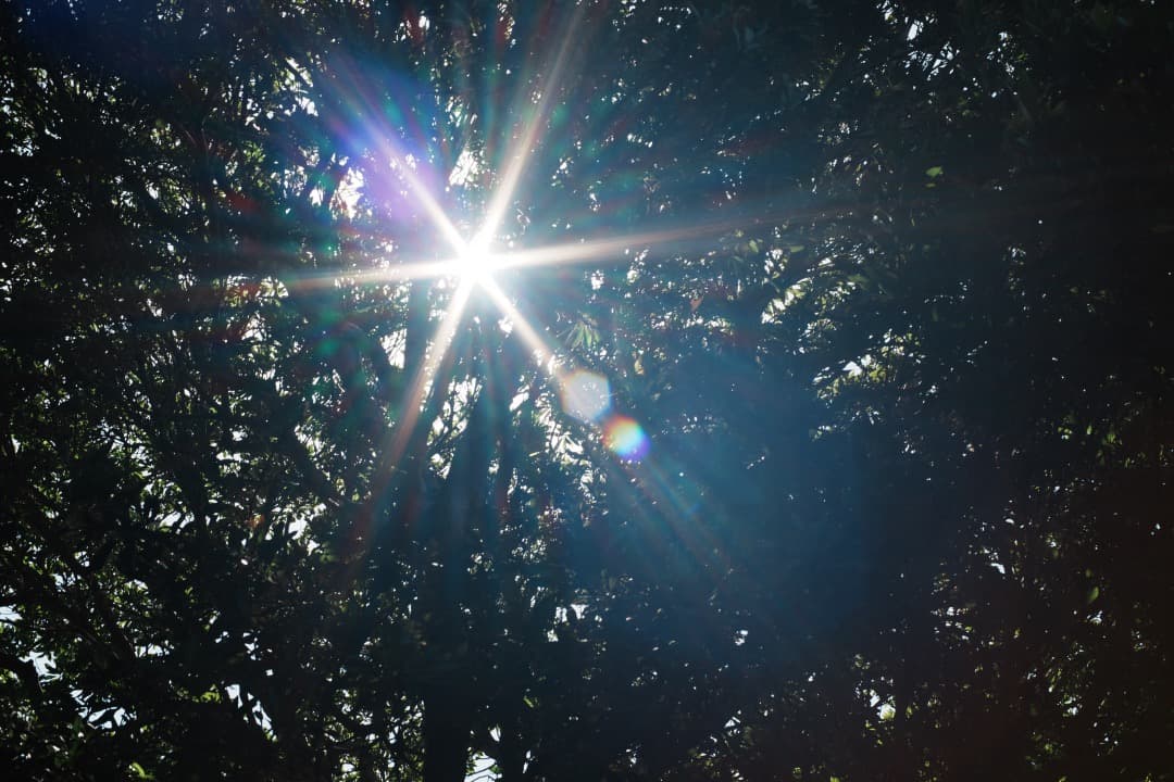 【極美品】Carl Zeiss Planar 50mm F1.4 MMJ 714