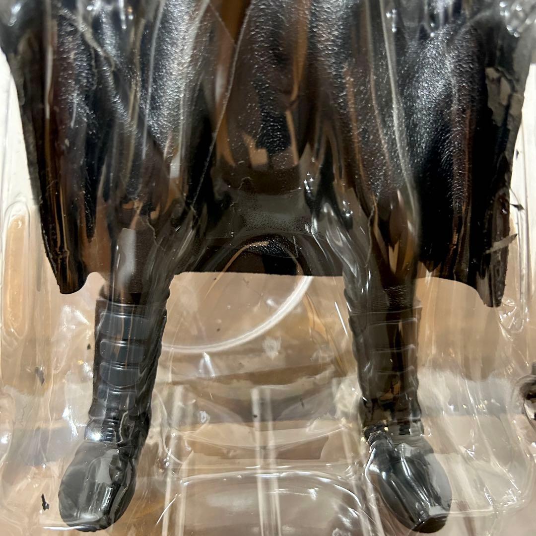 メディコムトイ RAH ライオン丸G シシトラ タイガージョー DVD付 特装版