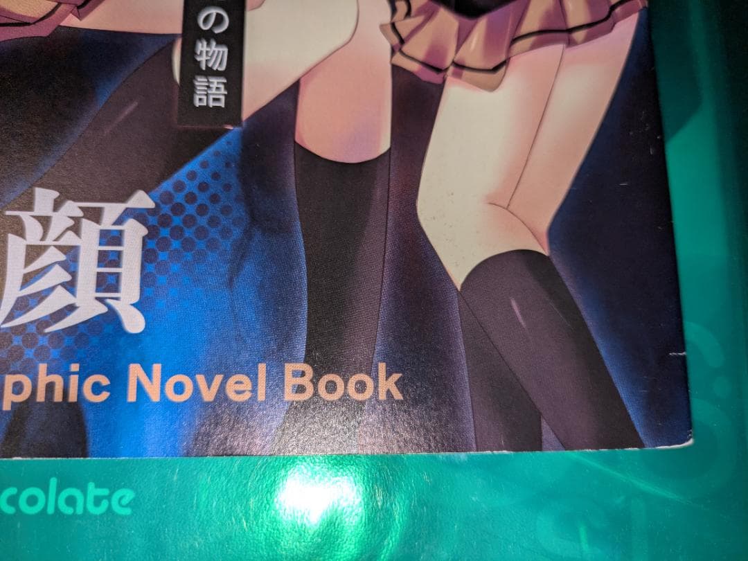 NOeSIS 心の顔