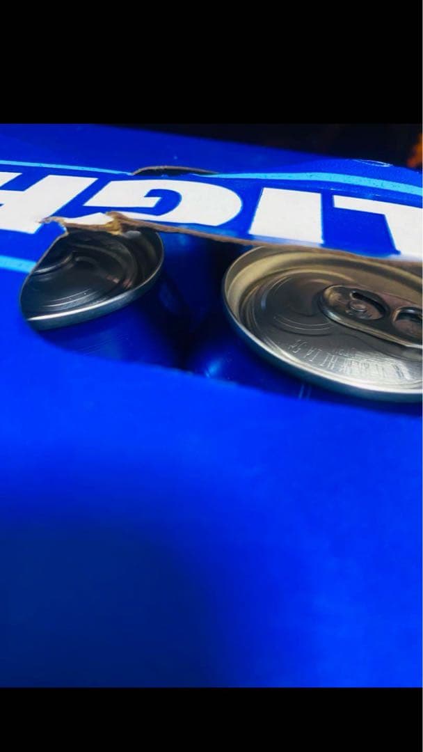 BUD LIGHT 355ml ×30缶