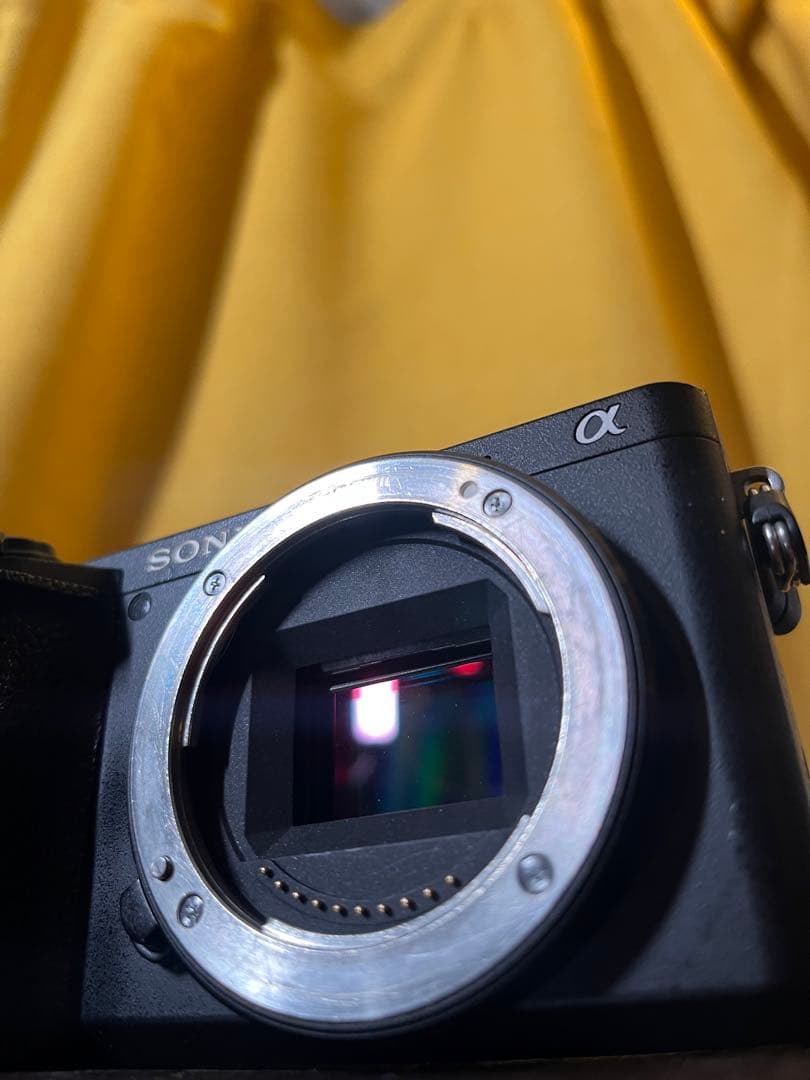 SONY α6500