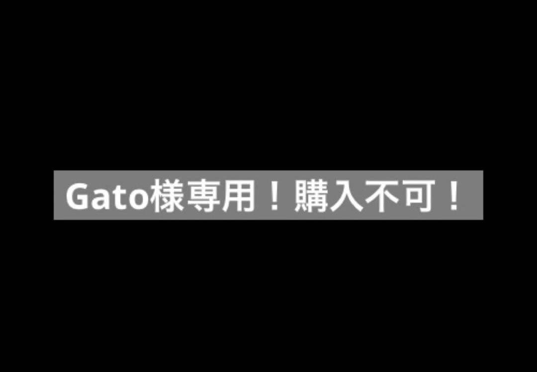 Gato！