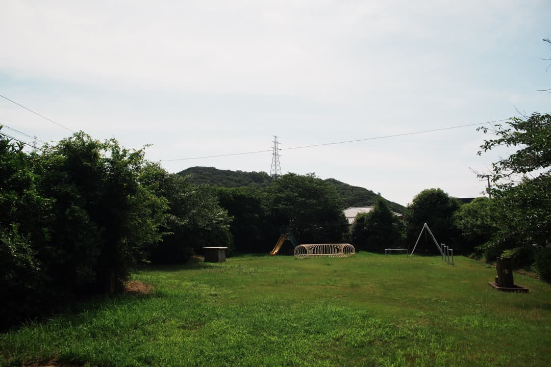 【美品】動作◎ オリンパス Zuiko auto-w 24mm F2 167