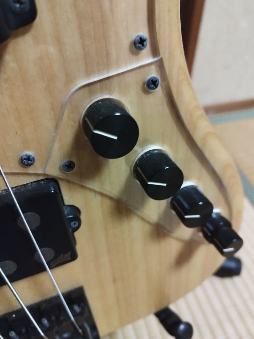 ATELIER Z 30th Anniversary 5弦ベース 値下げ1/5迄