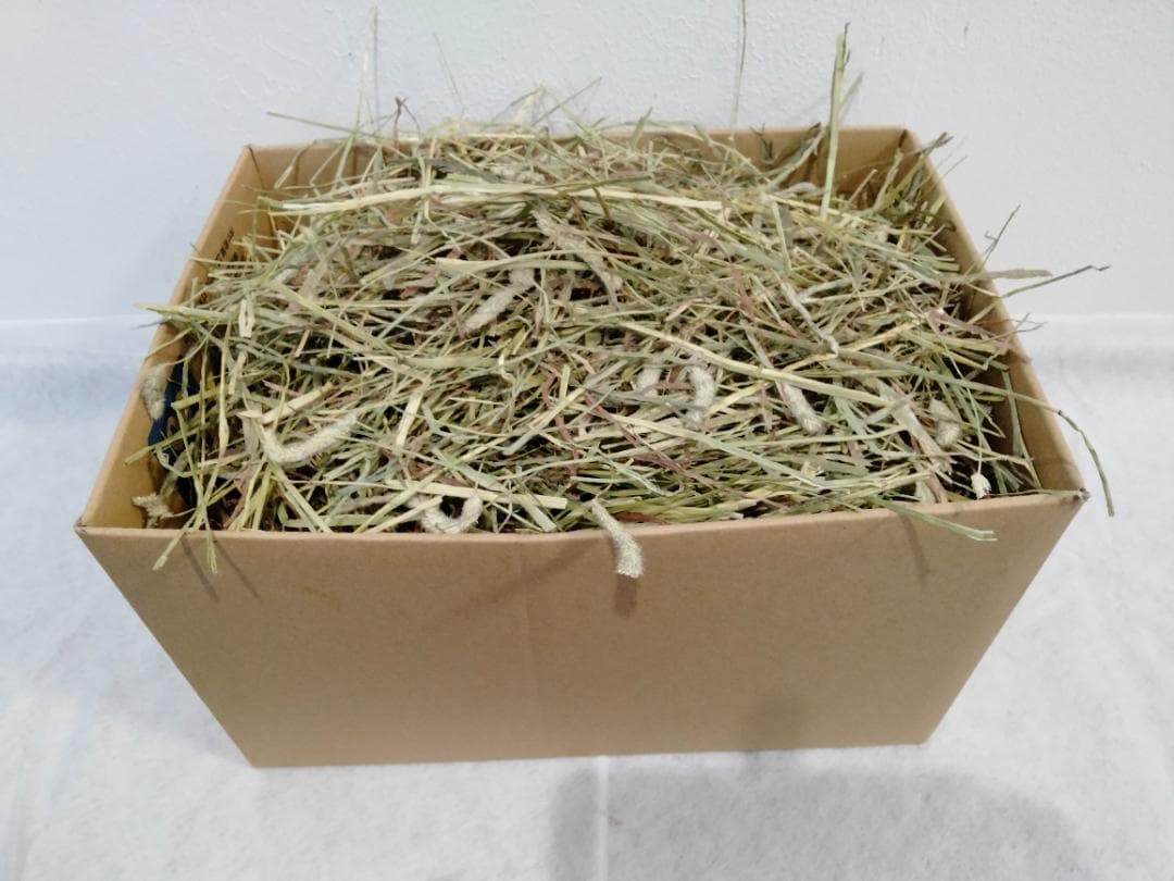 【1/14まで】 US産 チモシー 50kg ２番刈り ソフトSプレミアム